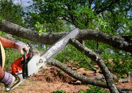 Best Weed Control  in Lyman, MS